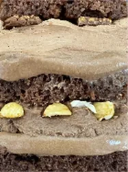 Przekrój tortu Ferrero Rocher